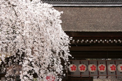 Santuario di Hirano Kyoto